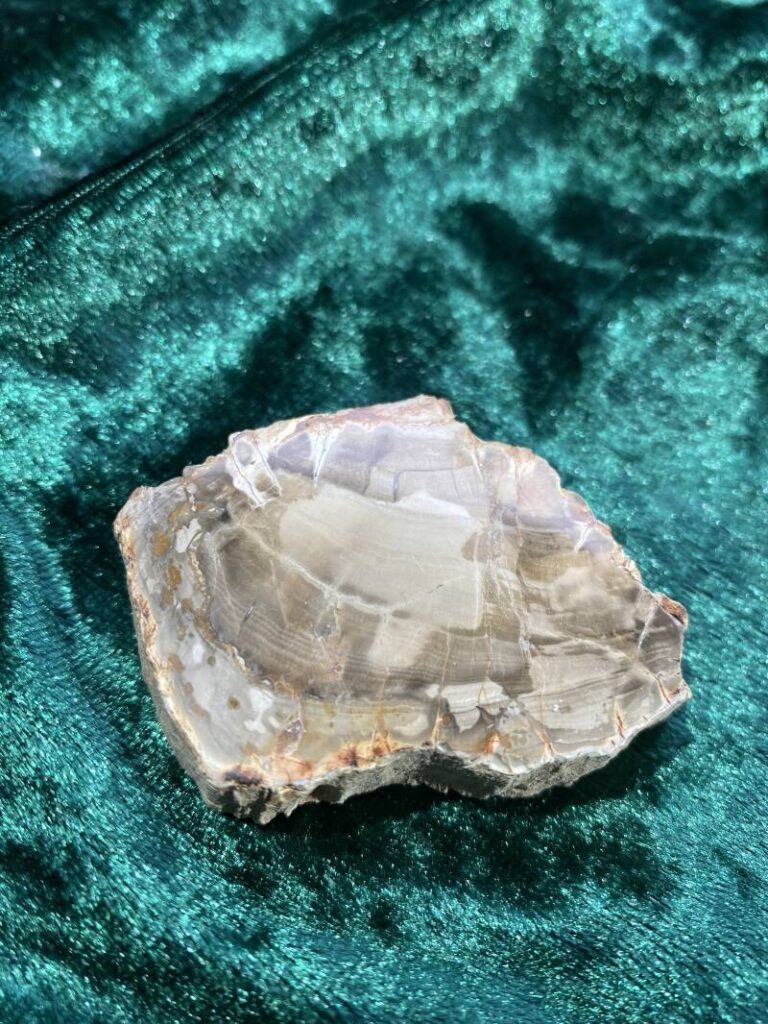 Versteend hout - edelsteen bij CrystalKoorn